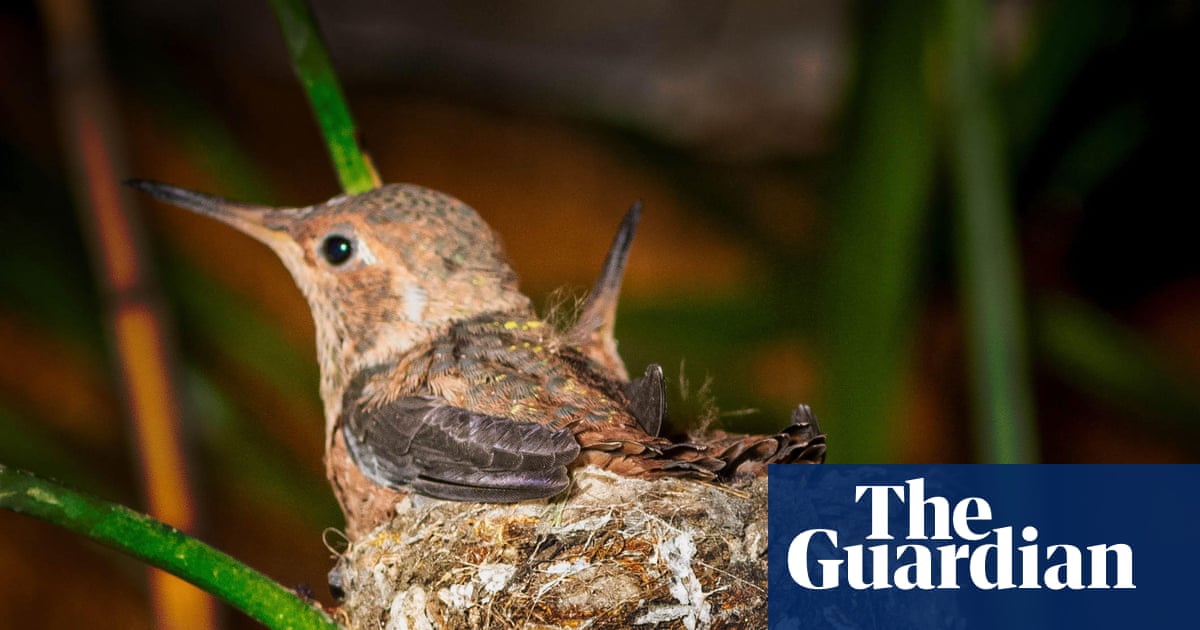 The Saturday Quiz Challenge – Mirror Brief