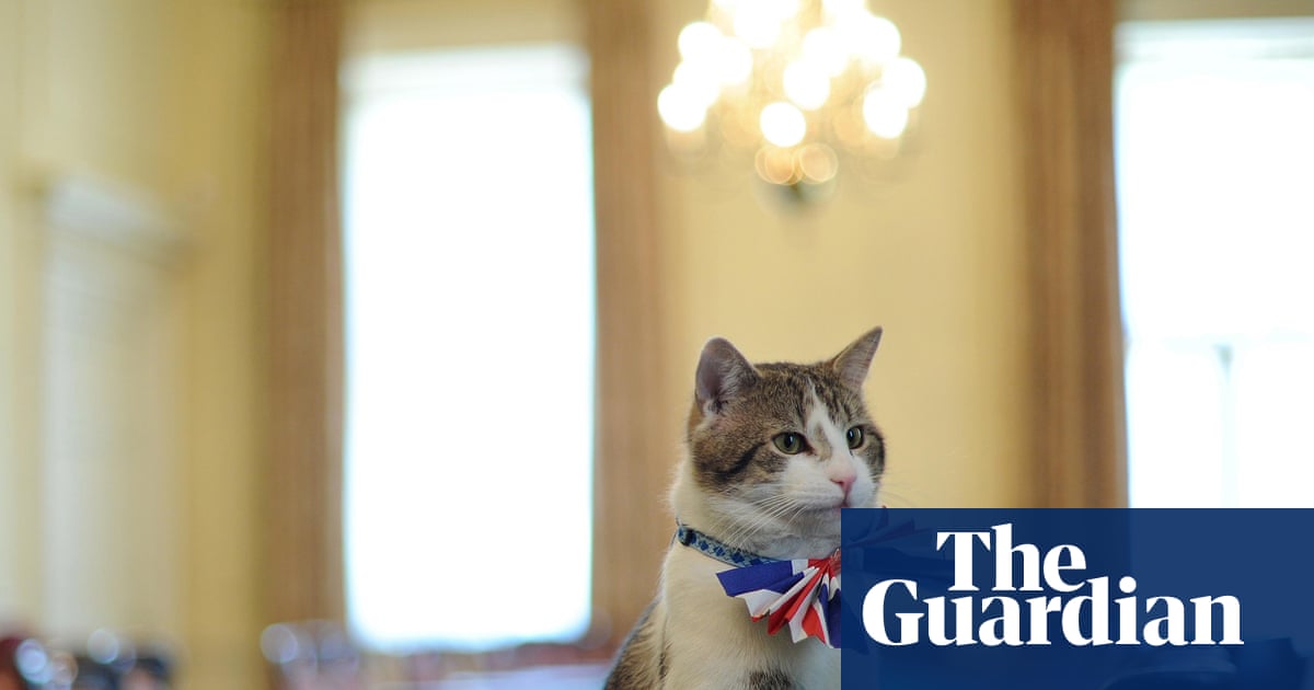 Larry the Downing Street Cat Shines in TV Spotlight – Mirror Brief